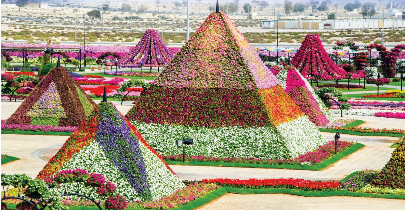 Ngàn hoa khoe sắc giữa sa mạc Trung Đông