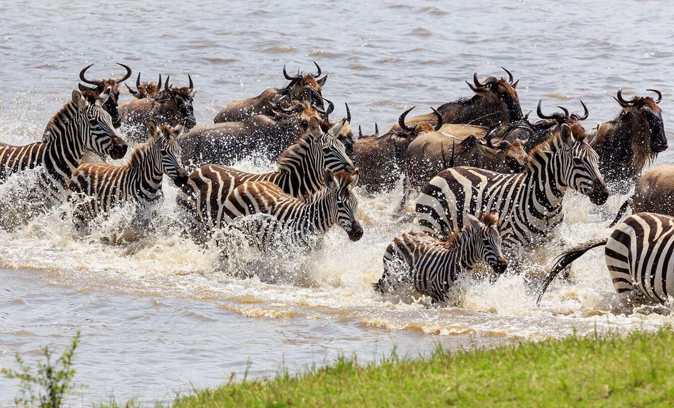 Đến Kenya săn ảnh thiên nhiên