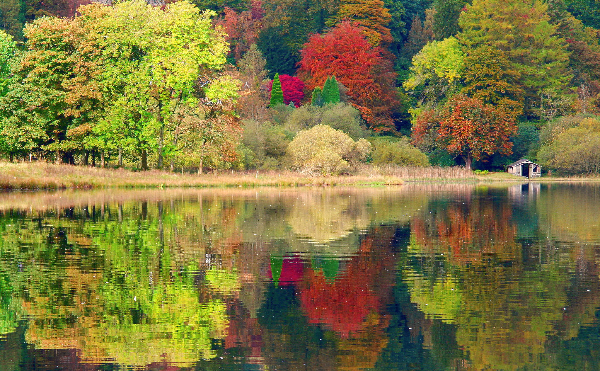 Chụp ảnh tại thiên đường mùa thu Lake District