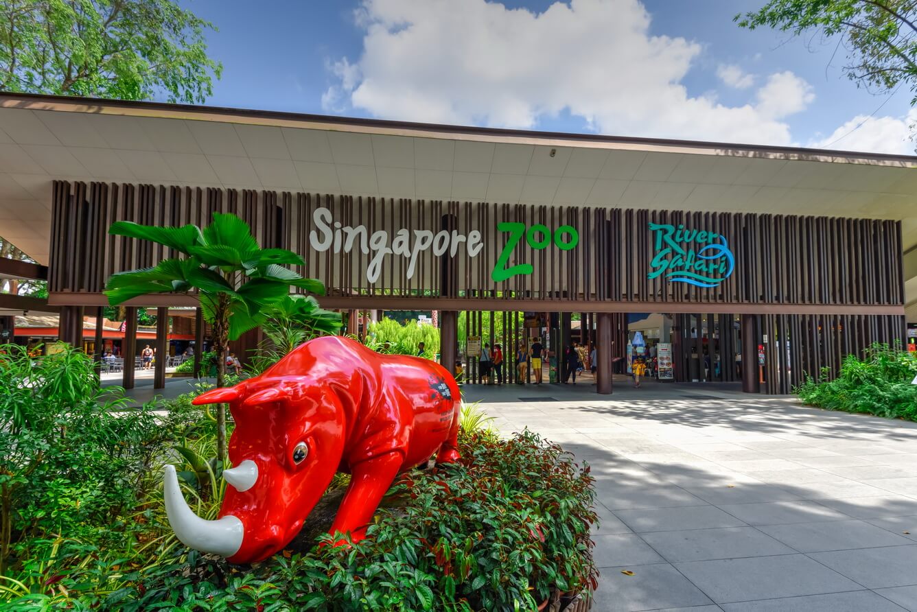 Vẻ đẹp hoang dã của vườn thú Singapore