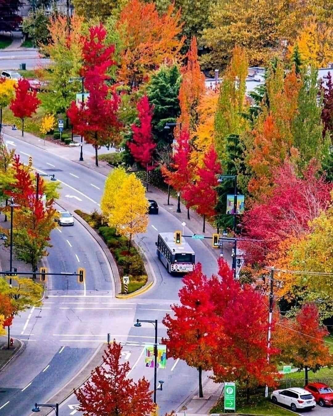 Chiêm ngưỡng vẻ đẹp của Mỹ - Canada bước vào mùa thu