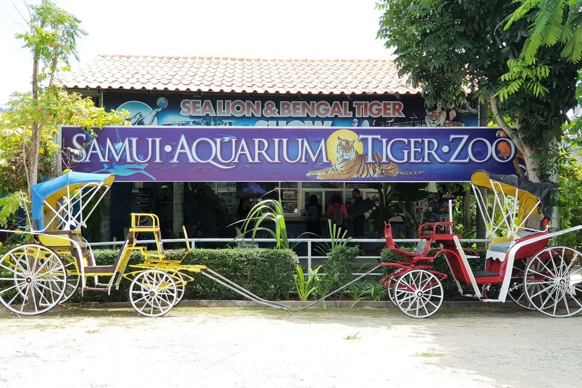 10. Samui Aquarium & Tiger Zoo