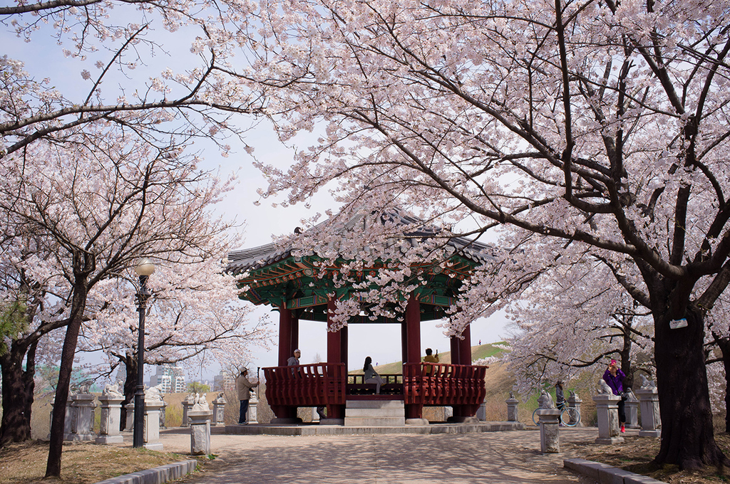 2. Du lịch tự túc Hàn Quốc cần chuẩn bị gì?