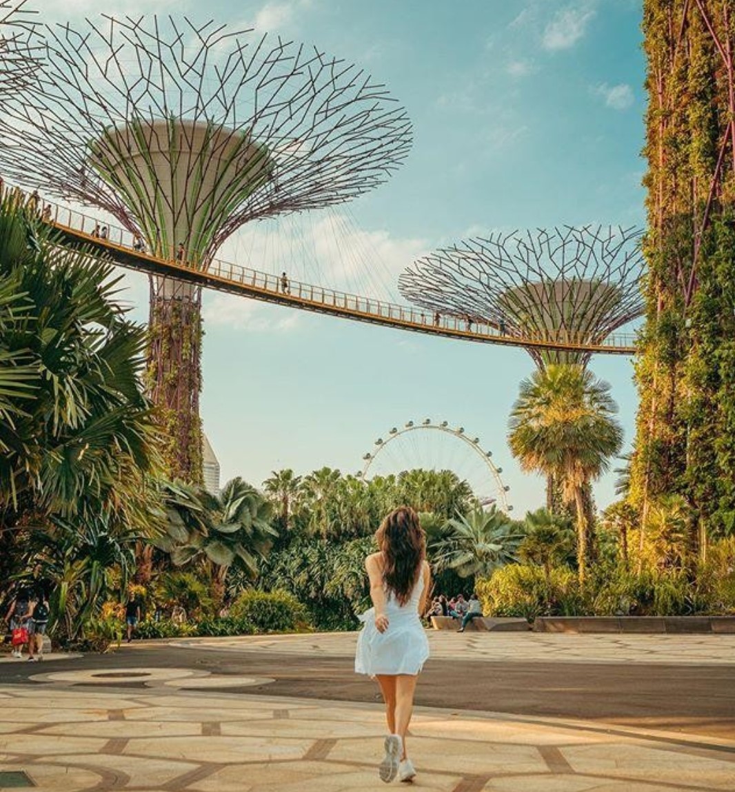 16:30 – 19:00: Gardens by the Bay