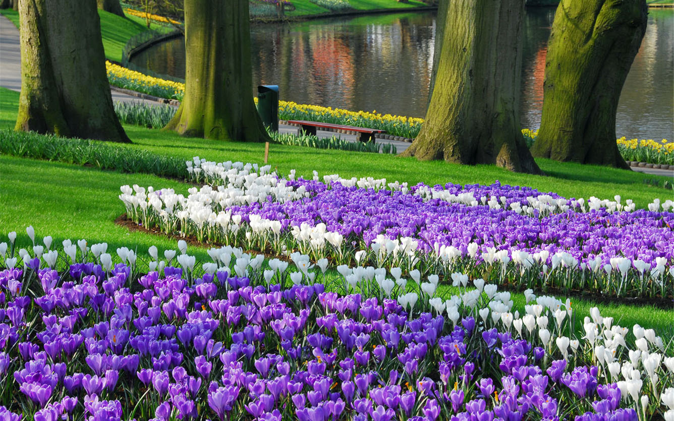Hà Lan – Thiên đường của Mùa xuân