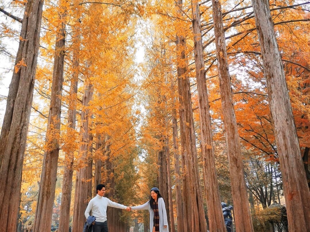 Lạc giữa mùa thu Nhật Bản, Hàn Quốc, Đài Loan đầy lãng mạn