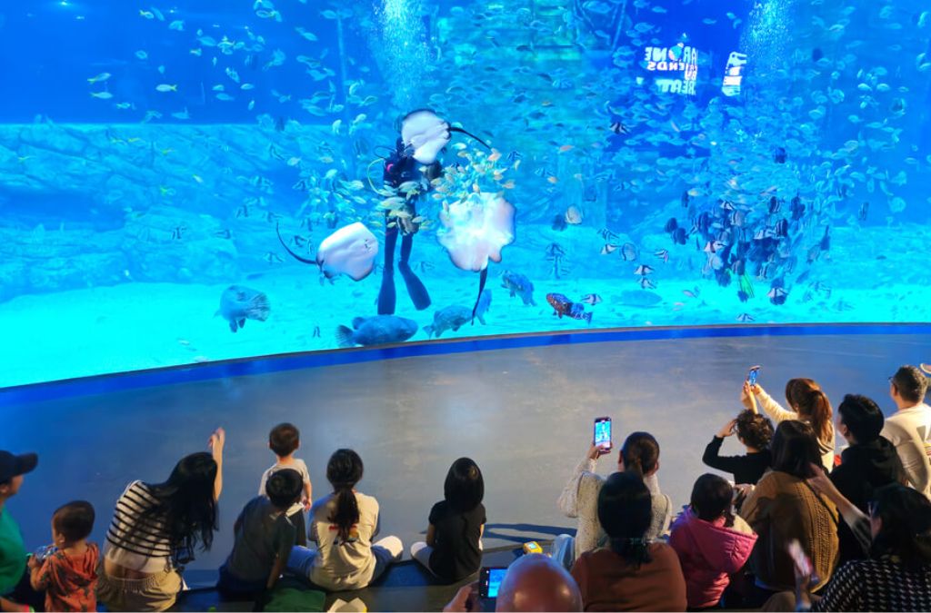 Thủy cung Lotte World Aquarium Hà Nội