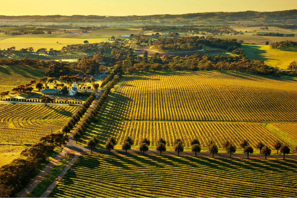 Thung lũng Barossa