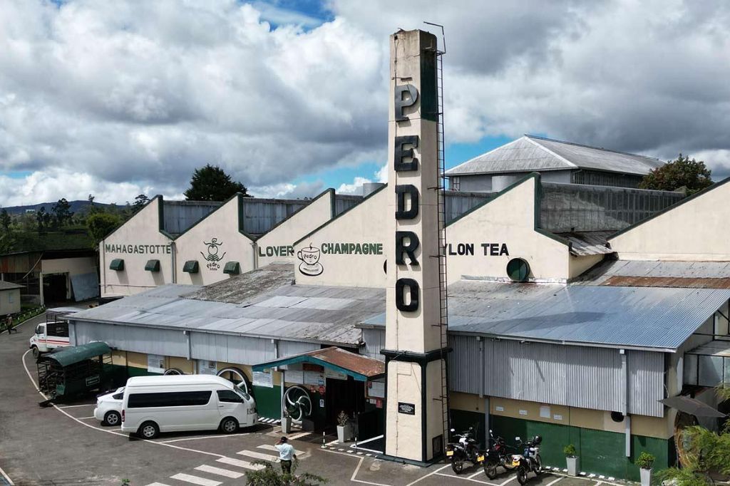 Nhà máy trà Pedro Tea Estate
