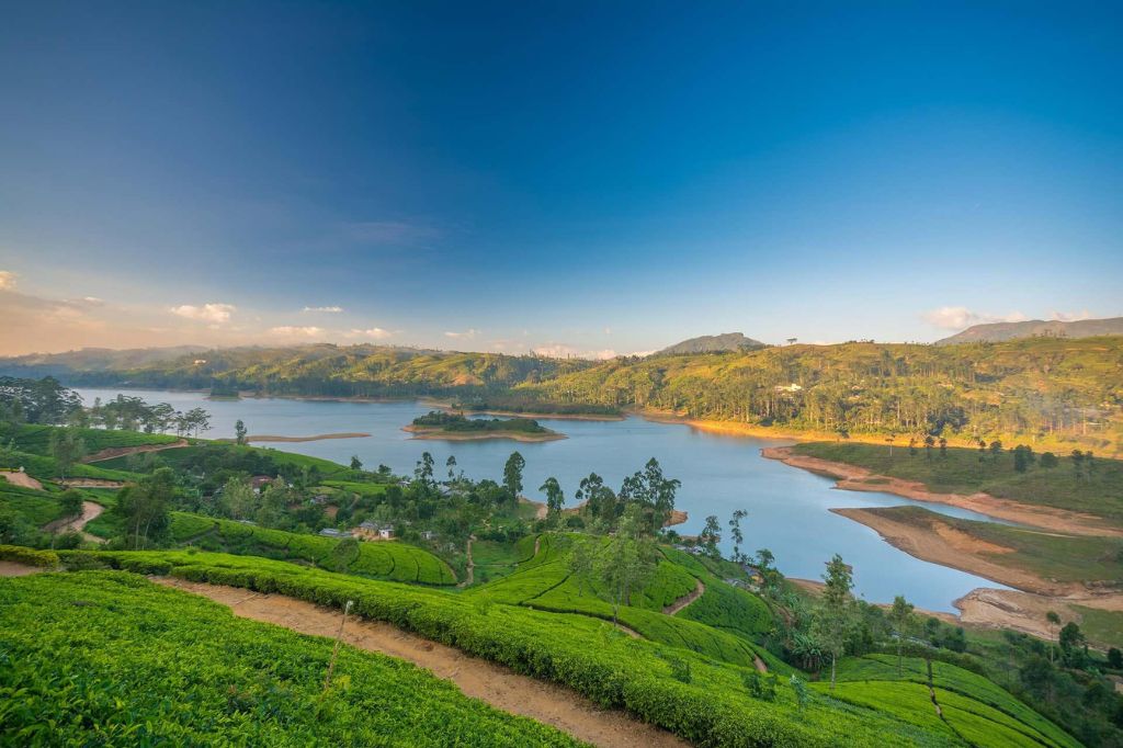 Nuwara Eliya mùa đẹp nhất
