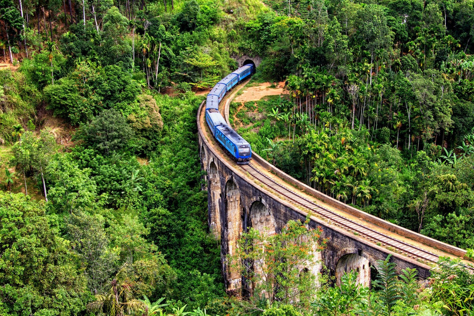 Tàu Ella Odyssey đi qua đồi chè Sri Lanka