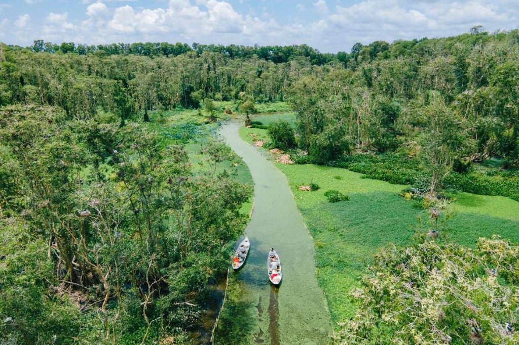 Rừng tràm Trà Sư An Giang