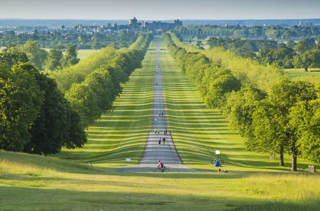 Con đường Long Walk kéo dài giữa hai hàng cây tại Windsor