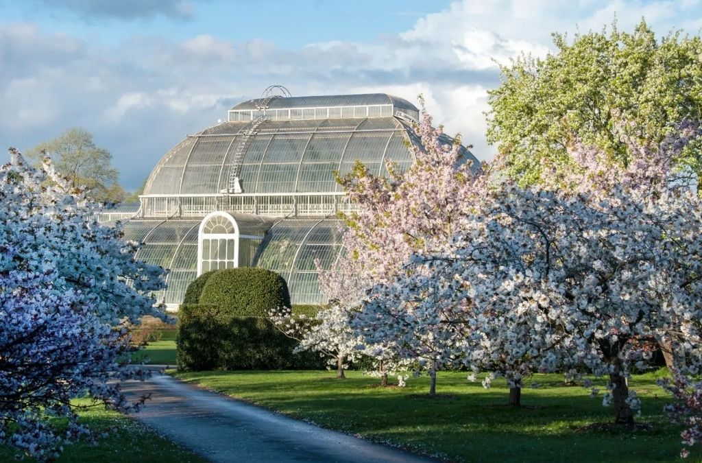 Nhà kính và hoa nở tại Kew Gardens vào mùa xuân