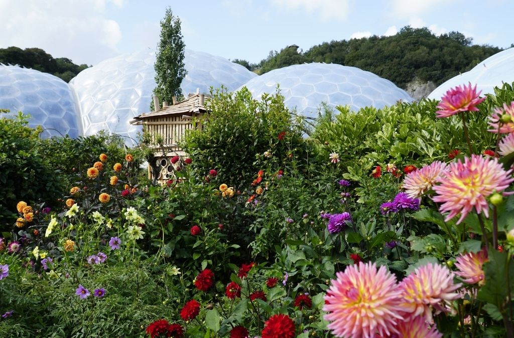 Các mái vòm sinh thái và vườn hoa tại Eden Project