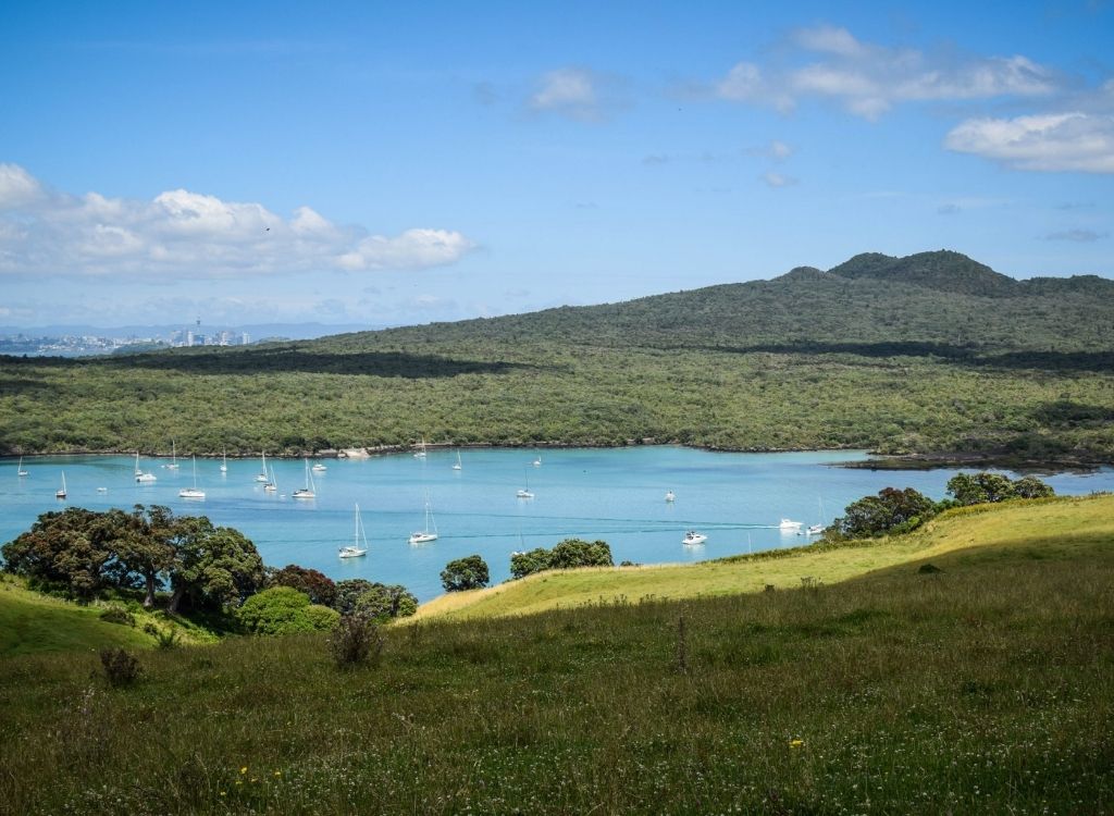 Đảo núi lửa Rangitoto