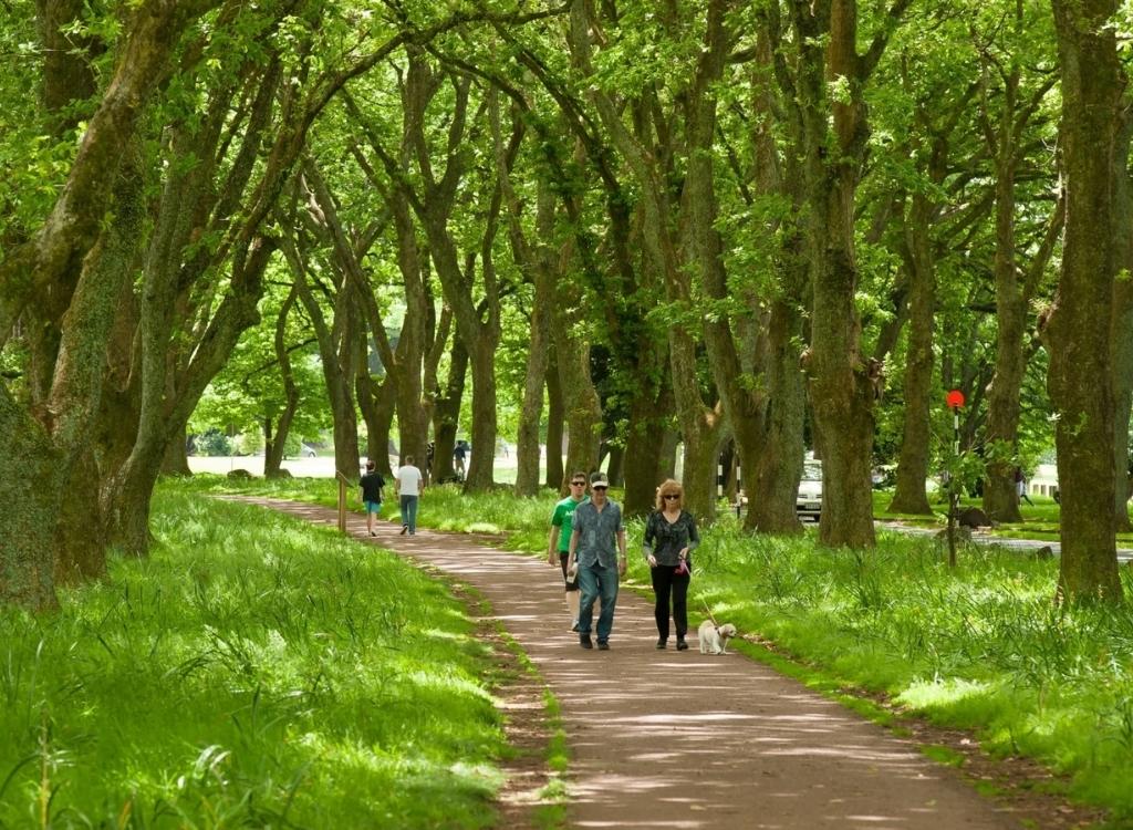 Lối đi trong Cornwall Park