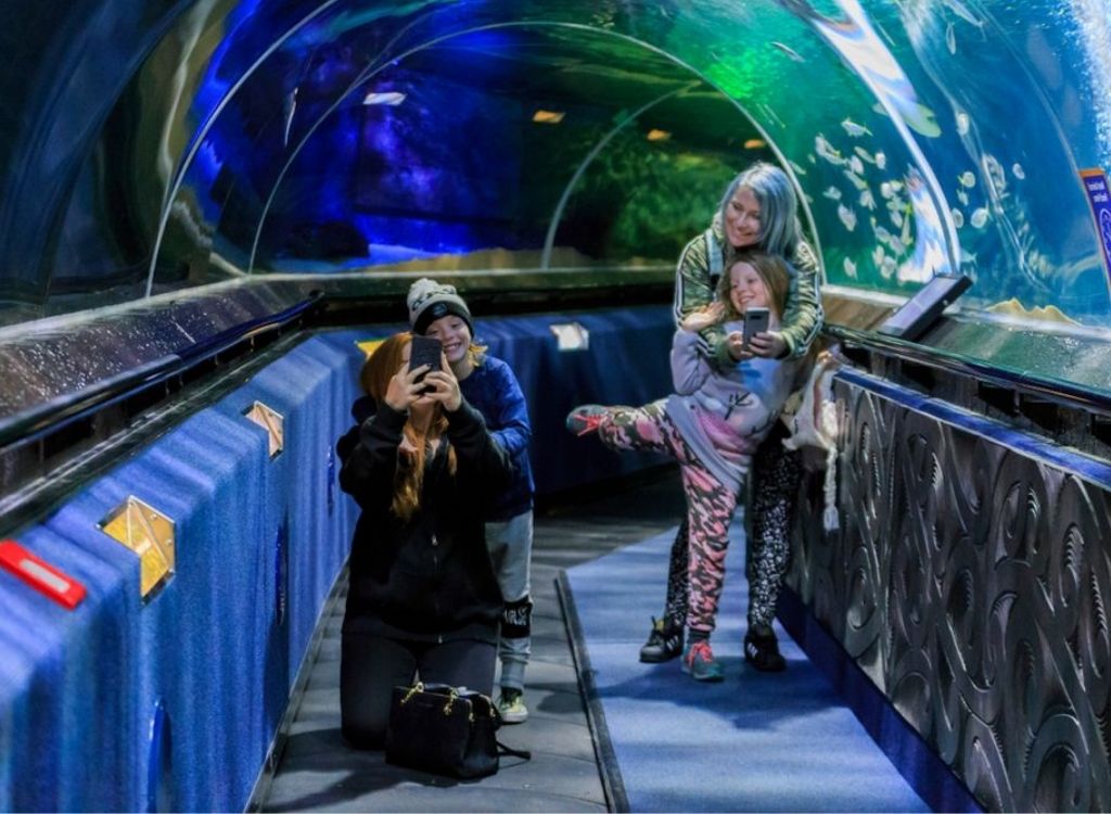 Đường hầm thủy cung SEA LIFE