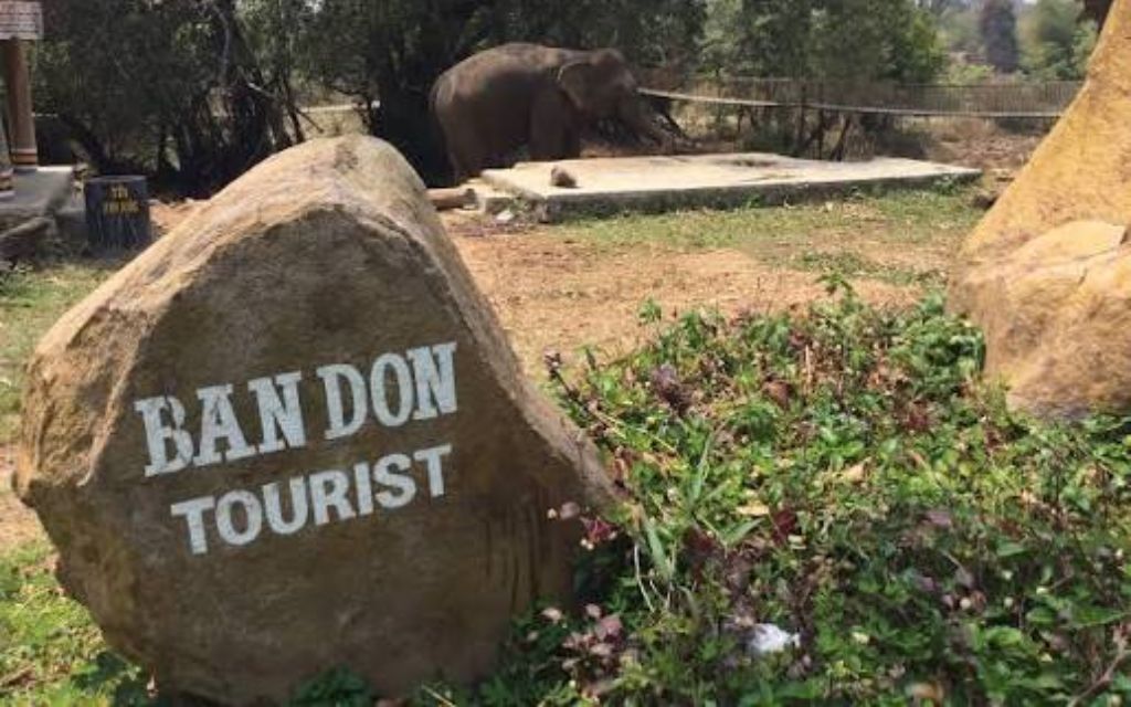 Buôn Đôn