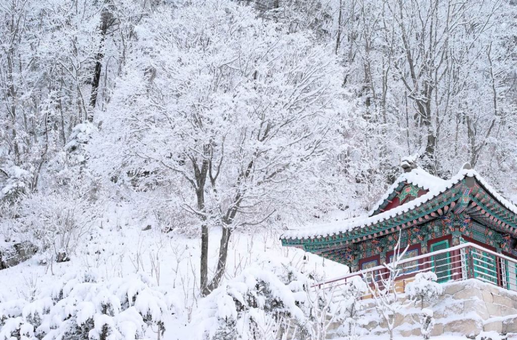 Ngỗi chùa giữa phong cảnh tuyết phủ tại Busan