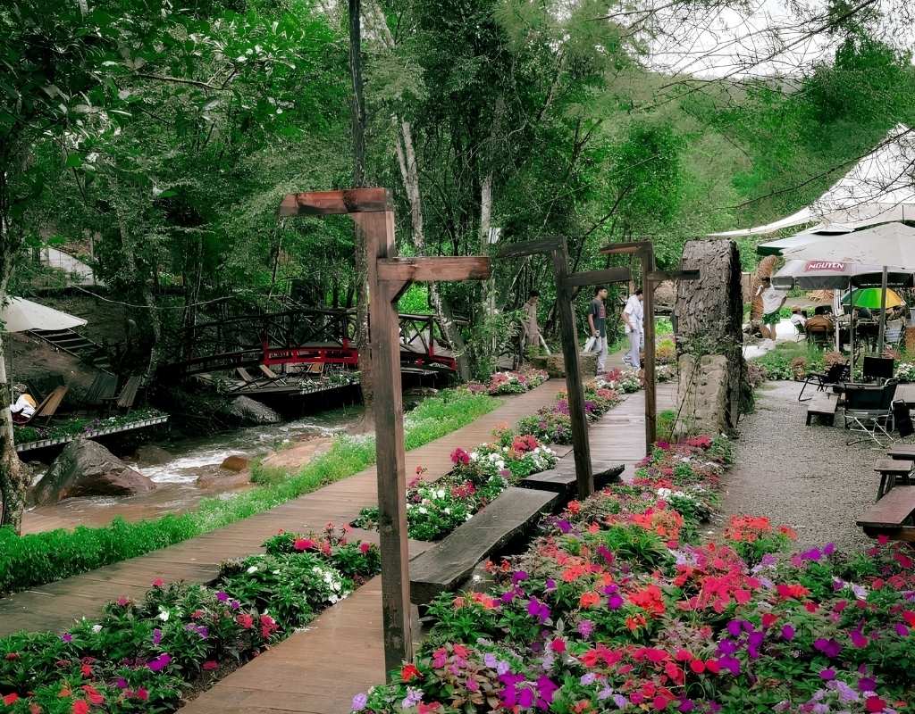 Cafe Vườn Địa Đàng Đà Lạt nằm giữa thung lũng rừng thông.