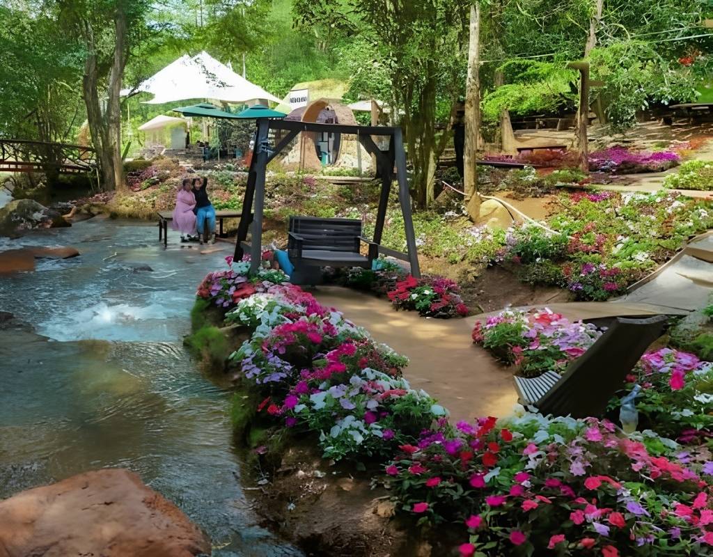 Cafe Vườn Địa Đàng giữa những luống hoa rực rỡ