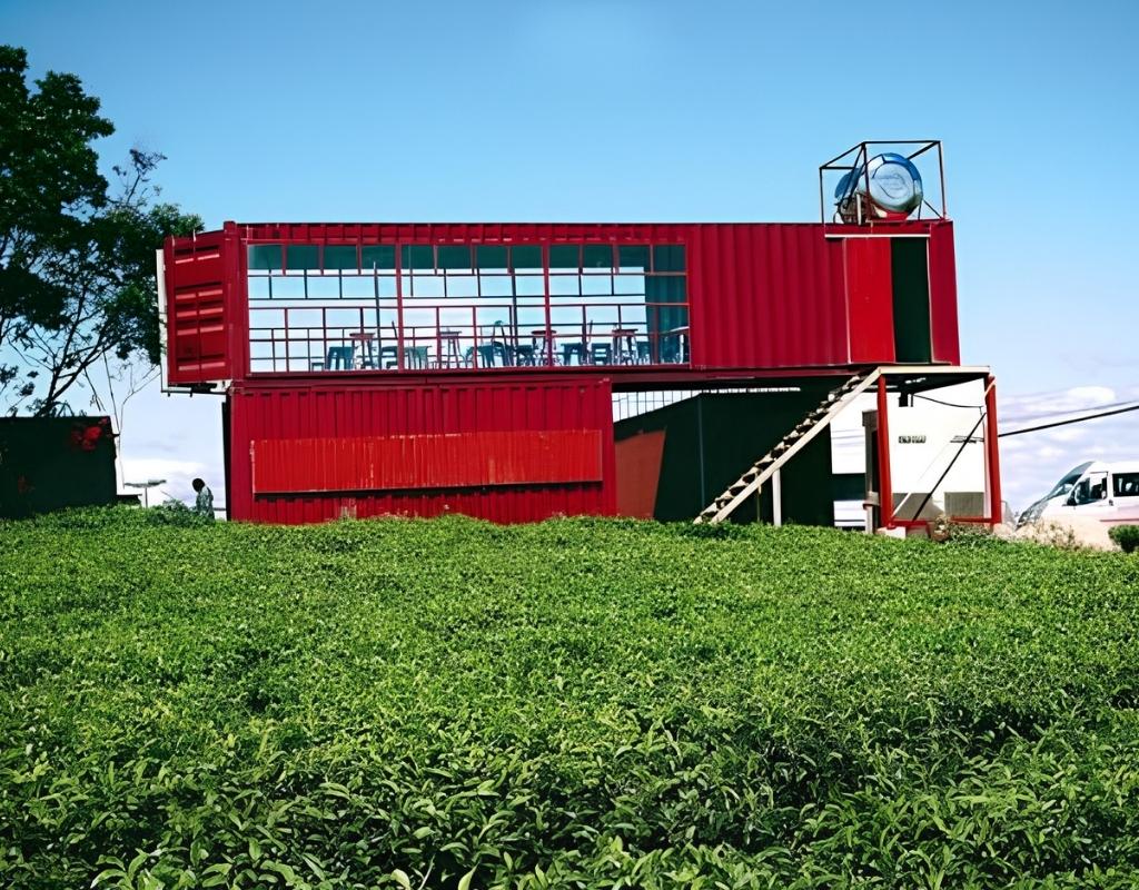 Cầu Đất Farm Cafe giữa đồi chè Cầu Đất