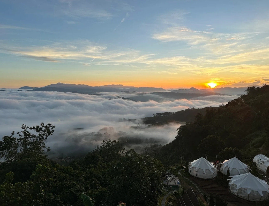 Toàn cảnh đồi chè từ Panorama Cafe