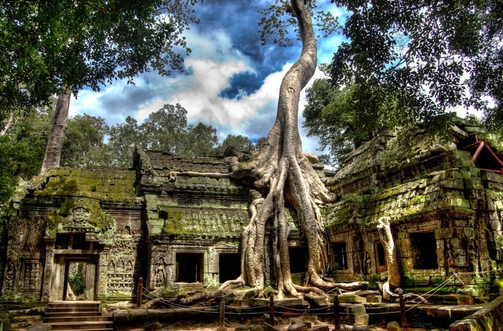 Rễ cây cổ thụ bao phủ tường đá tại đền Ta Prohm