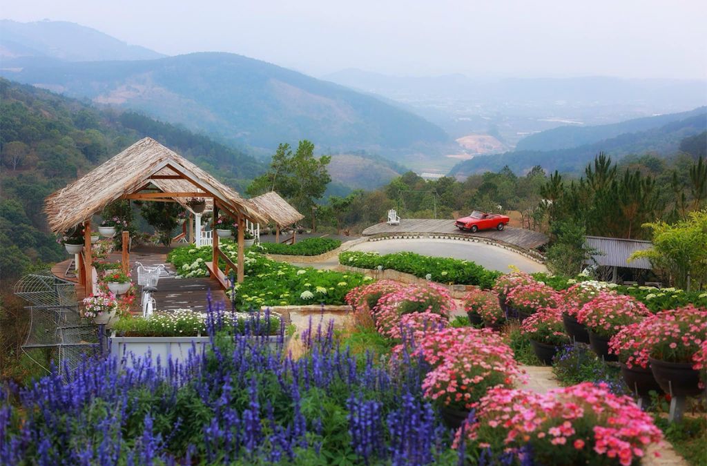 Vườn hoa rực rỡ và nhà mái lá tại Cao Nguyên Hoa Đà Lạt