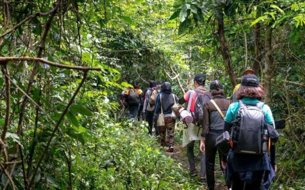 Trekking Vườn quốc gia Cát Bà