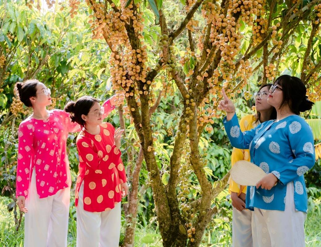 Vườn cây ăn trái tại làng du lịch Mỹ Khánh