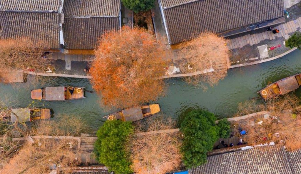 Cổ trấn Chu Gia Giác vào mùa thu với lá vàng, lá đỏ nhuộm vàng cả sắc trời.