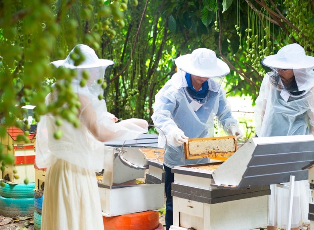 Trải nghiệm trang trại nuôi ong