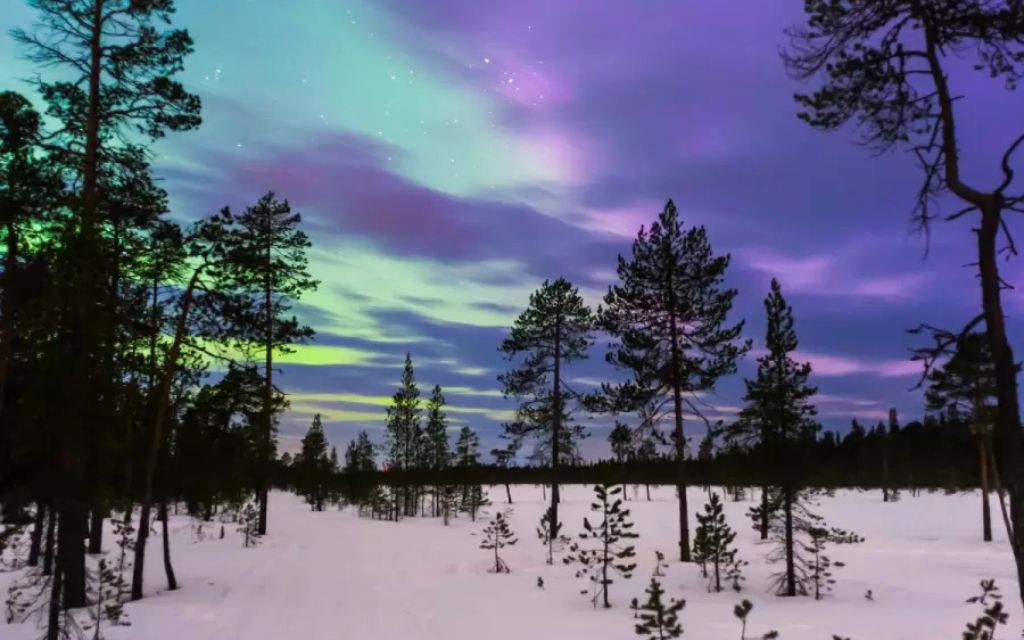 Thị trấn Murmansk