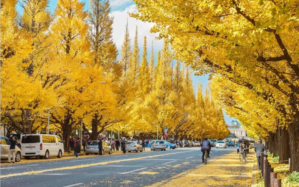 Bản đồ tuyến Cung đường Vàng Nhật Bản từ Tokyo đến Osaka