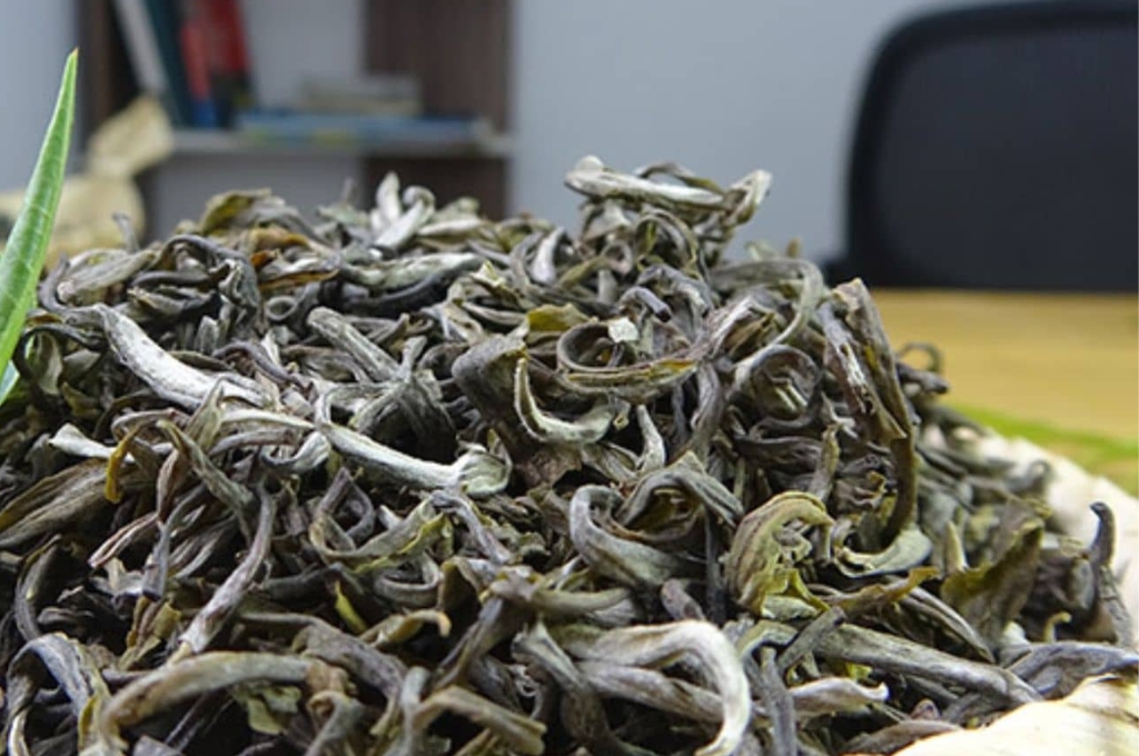 Trà Shan Tuyết Hà Giang