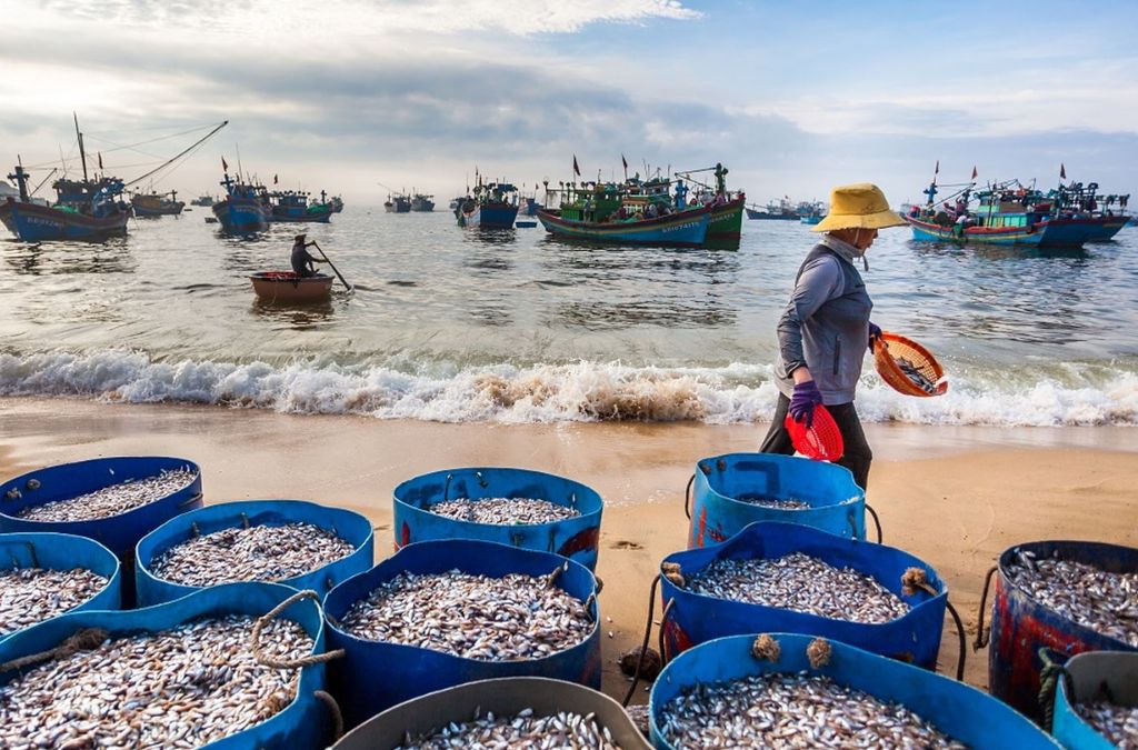 Hải sản tươi tại vùng biển Nha Trang