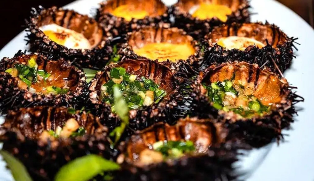 Nhum biển tươi sống Vĩnh Hy Nhum biển