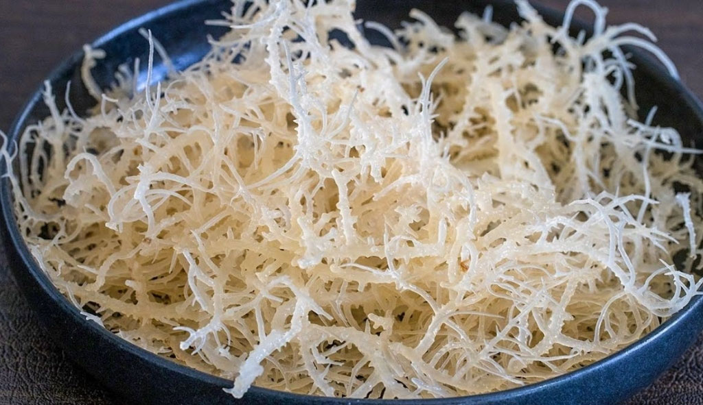Rong biển tươi đặc sản Vĩnh Hy