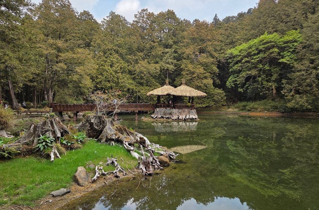 Đầm Tỷ Muội giữa rừng Alishan