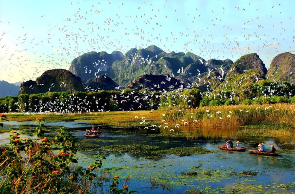 Đàn chim bay trên vùng đất ngập nước tại Đầm Vân Long
