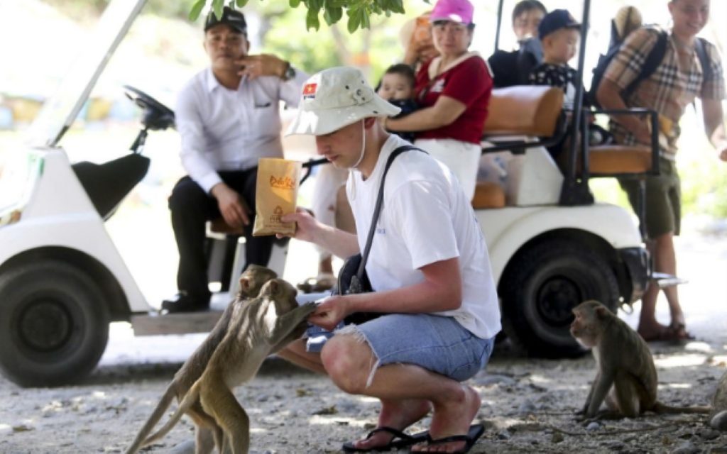 lưu ý khi đi cùng trẻ nhỏ