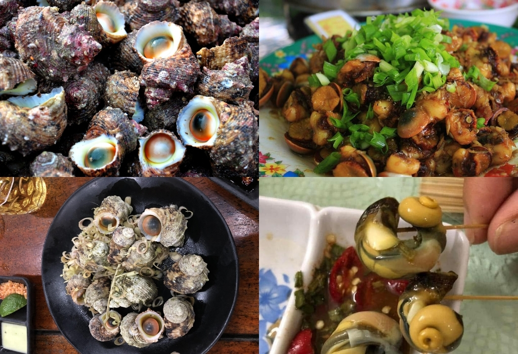 Ốc cừ