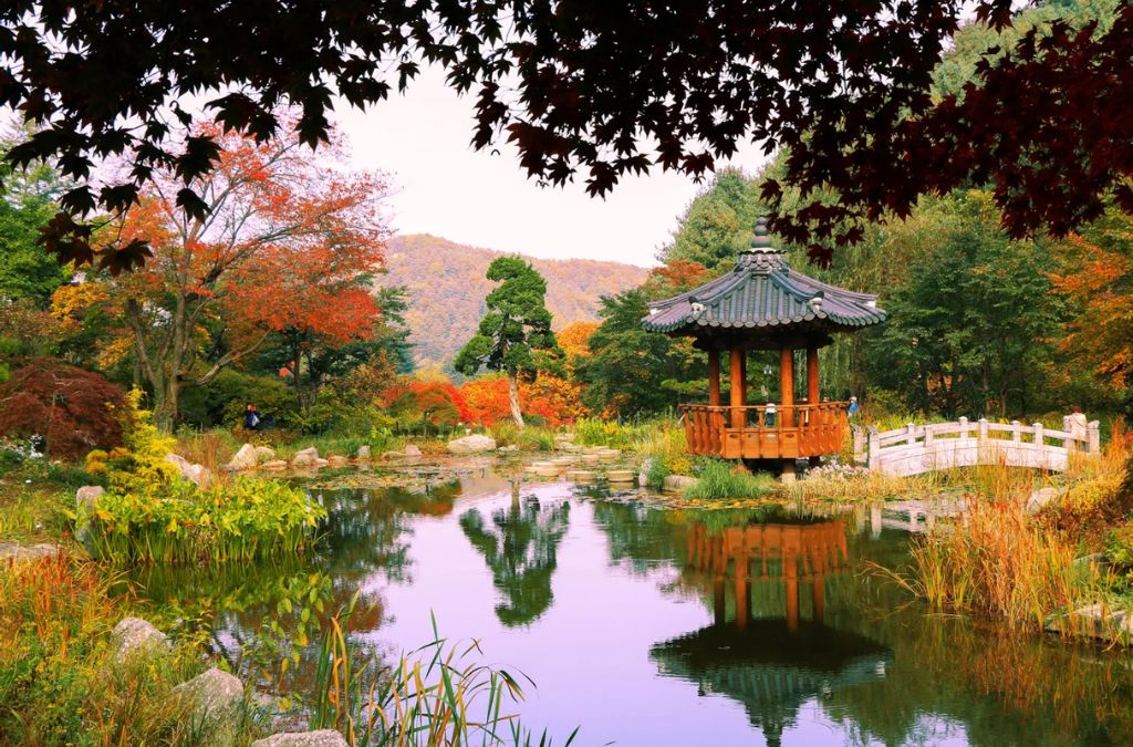 Chòi gỗ bên hồ giữa rừng lá đỏ tại Garden of Morning Calm
