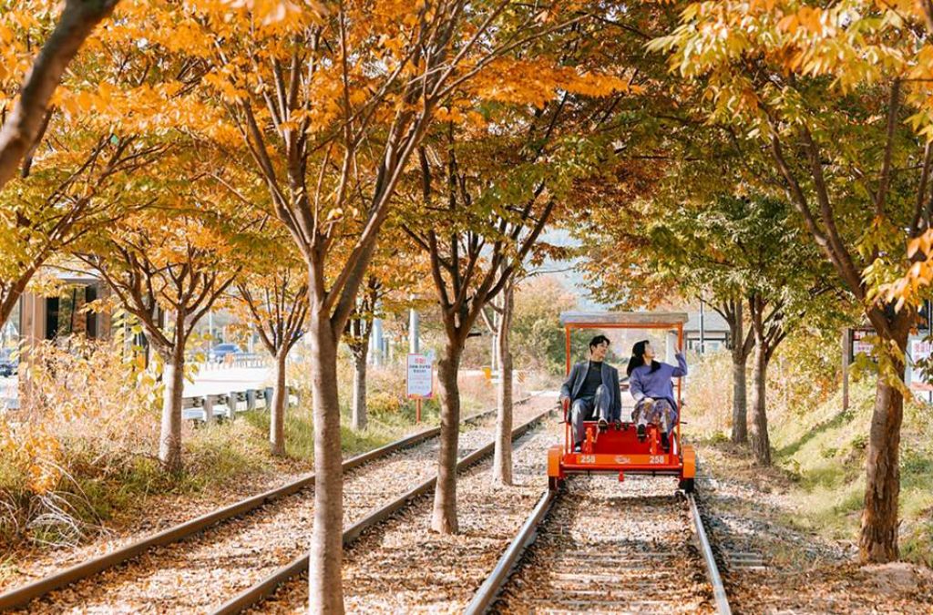 Gapyeong Rail Bike giữa hàng cây mùa thu
