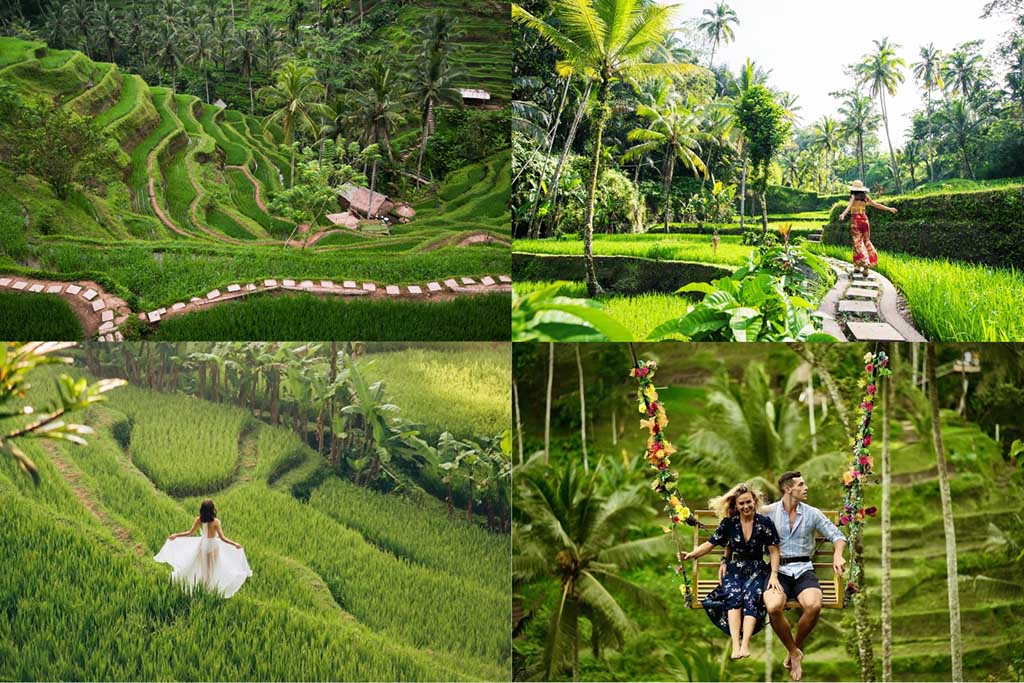 Khám phá cánh đồng lúa Tegalalang Bali