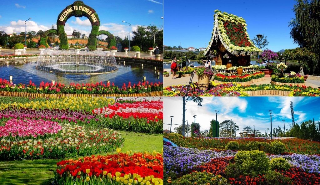 Vườn hoa Thành phố Đà Lạt với nhiều loài hoa đặc trưng của phố núi Đà Lạt