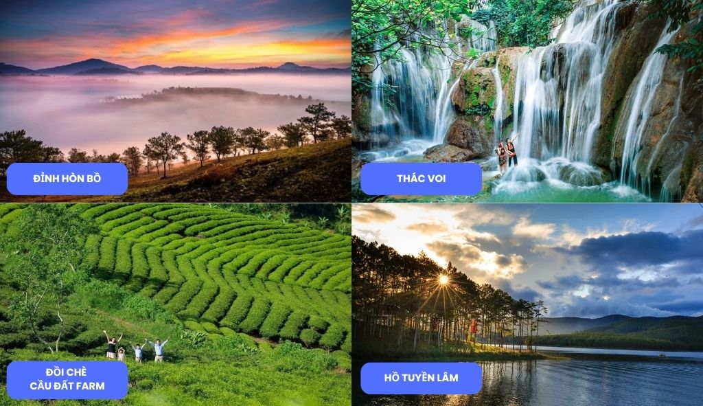 Những địa điểm du lịch Đà Lạt với cảnh rừng thông nguyên sơ, thác nước và cảnh hồ đẹp.