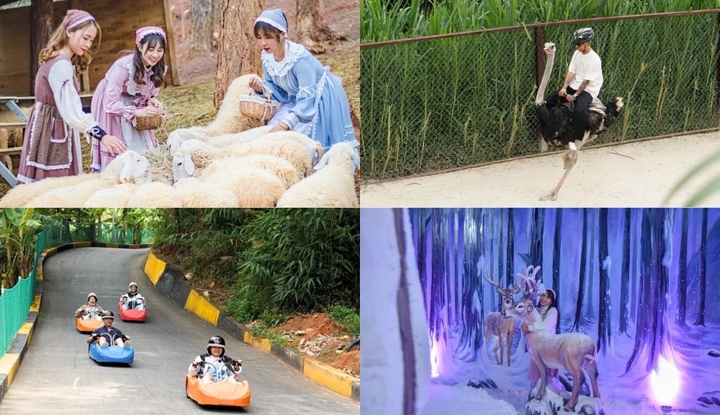 Các hoạt động vui chơi và giải trí tại Dalat Wonderland